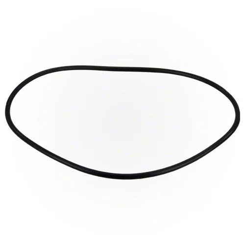 Jandy FloPro Backplate O-ring R0480300